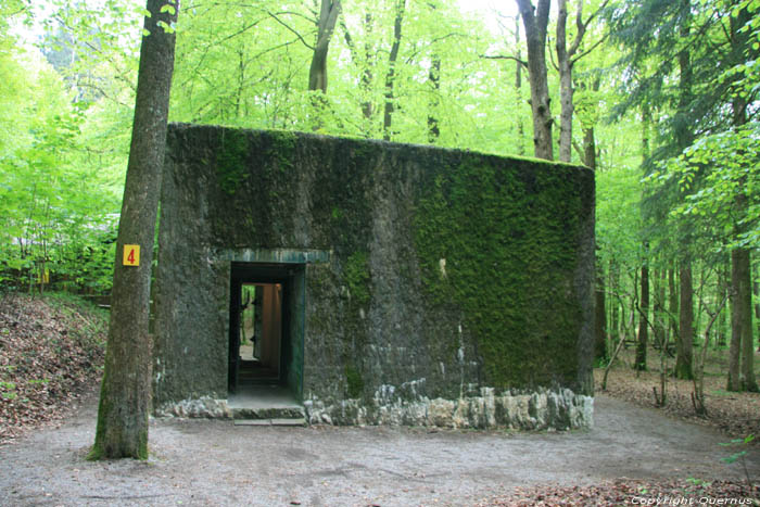 Adolf Hitler's headquarter during attack on France COUVIN picture 