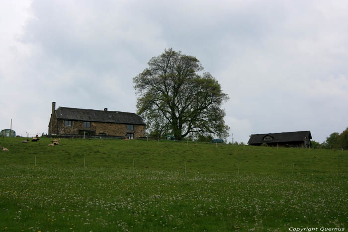 Ferme NAMUR  COUVIN / BELGIQUE 