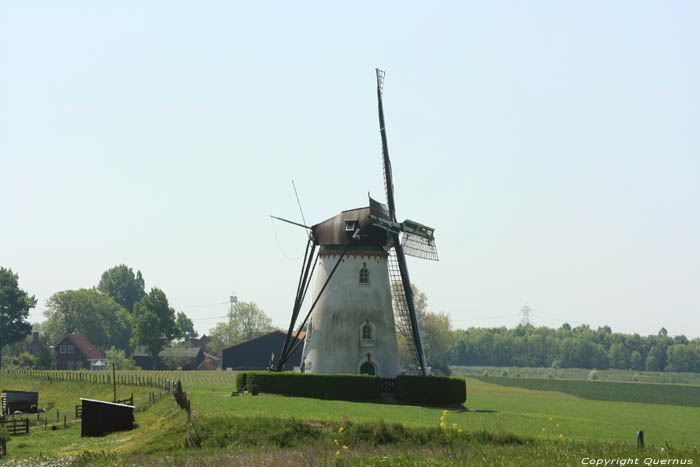 Windmill Out of Expectations   New and Saint Joos Country in Nieuw en Sint Joosland / Netherlands 