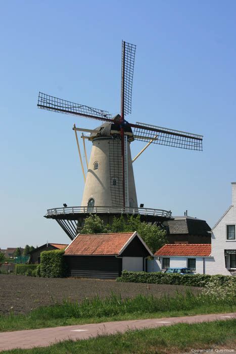 Windmolen de Lelie Koudekerke / Nederland 