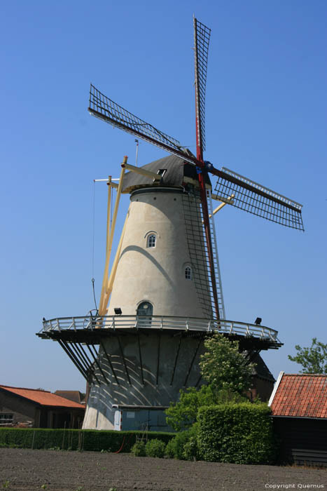 Moulin  Vent Koudekerke / Pays Bas 