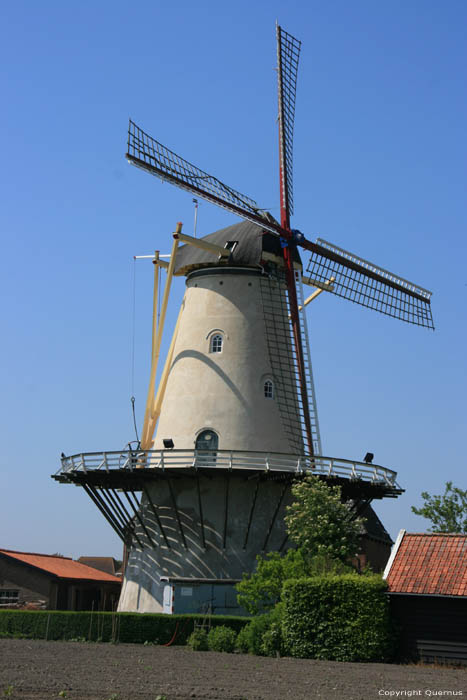 Windmolen de Lelie Koudekerke / Nederland 