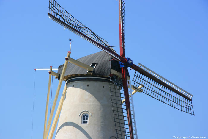 Windmolen de Lelie Koudekerke / Nederland 