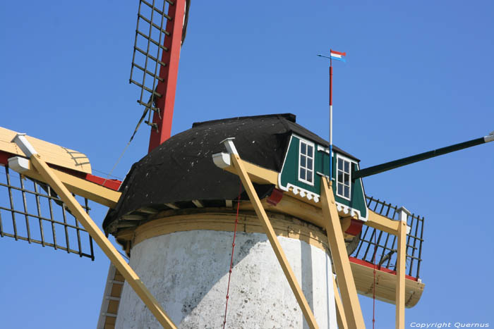 Brasser's Korenmolen Biggekerke / Nederland 