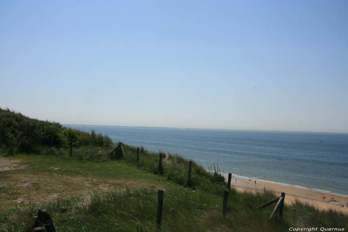 Duinen en zee Zoutelande / Nederland 