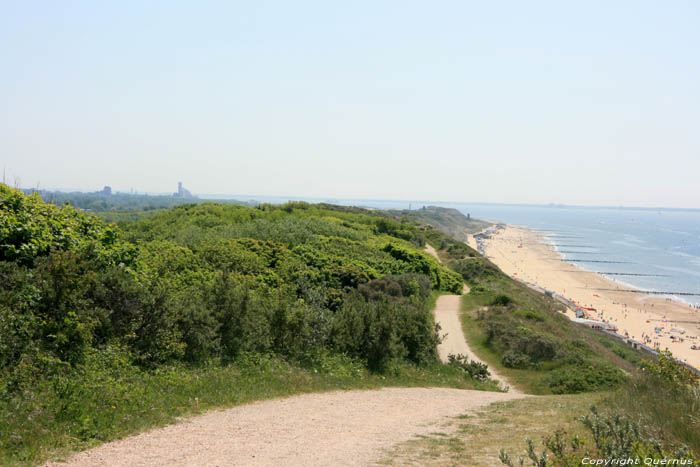 Dunes and Sea County of Salt (Zoutelande) in Zoutelande / Netherlands 