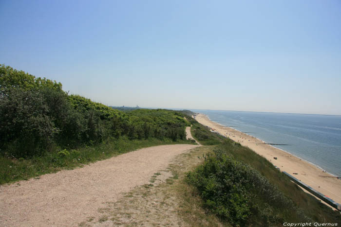 Dunes and Sea County of Salt (Zoutelande) in Zoutelande / Netherlands 