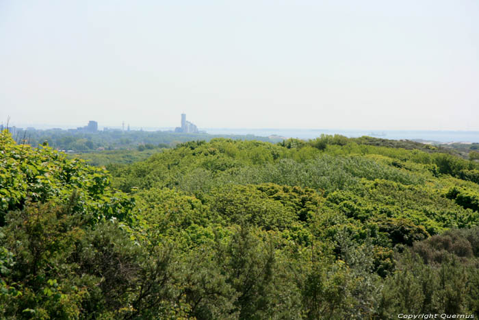 Duinen en zee Zoutelande / Nederland 