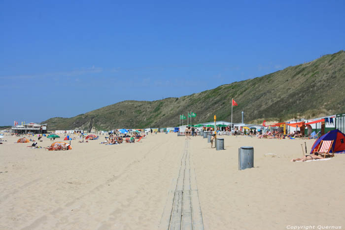 Strand Zoutelande / Nederland 