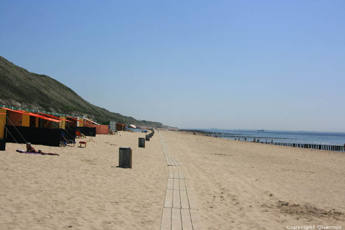 Strand Zoutelande / Nederland 