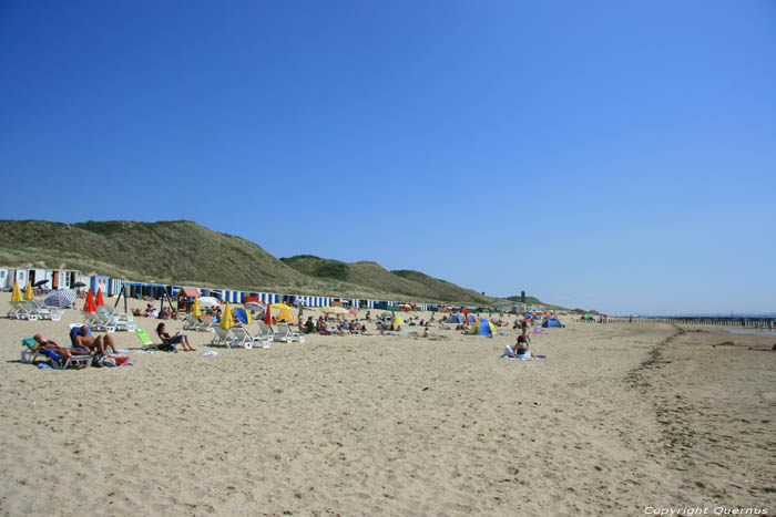 Strand County of Salt (Zoutelande) in Zoutelande / Netherlands 