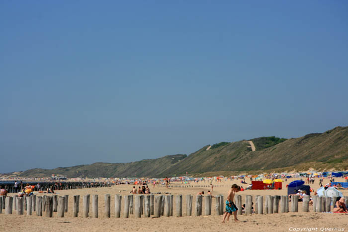 Strand Zoutelande / Nederland 