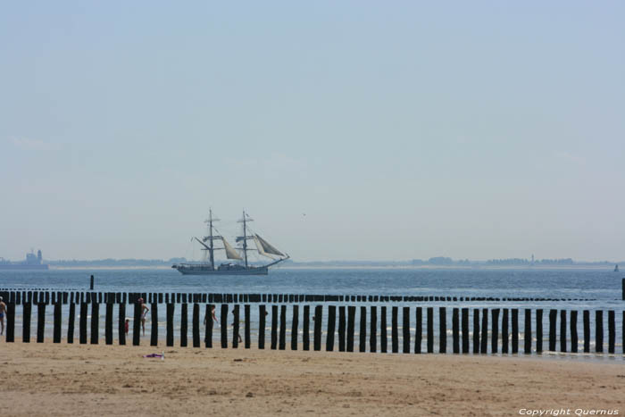 Strand Zoutelande / Nederland 