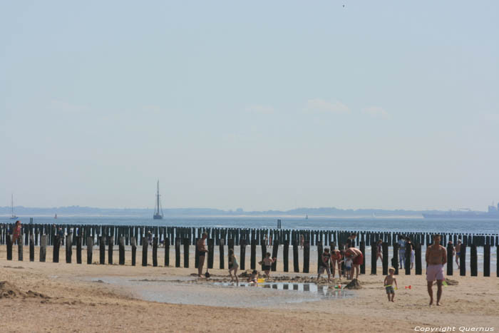 Strand Zoutelande / Nederland 