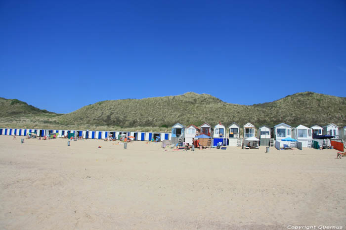 Strand Zoutelande / Nederland 