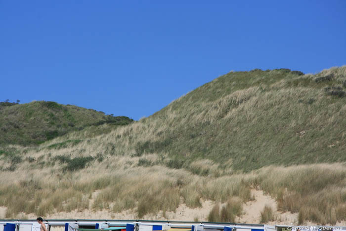 Dunes Hautes Pays De Sel (Zoutelande)  Zoutelande / Pays Bas 