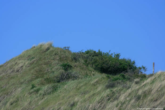 Hoge Duinengordel Zoutelande / Nederland 