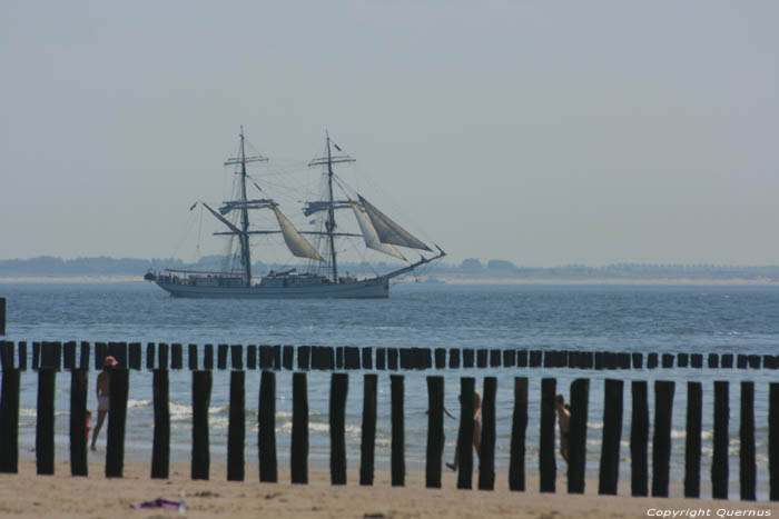 Casseur Pays De Sel (Zoutelande)  Zoutelande / Pays Bas 