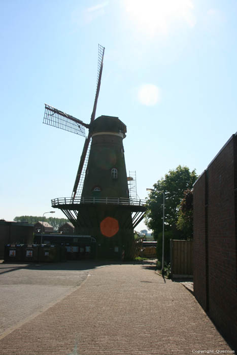 Moulin  Vent Hoek / Pays Bas 