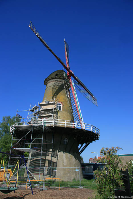 Moulin  Vent Hoek / Pays Bas 