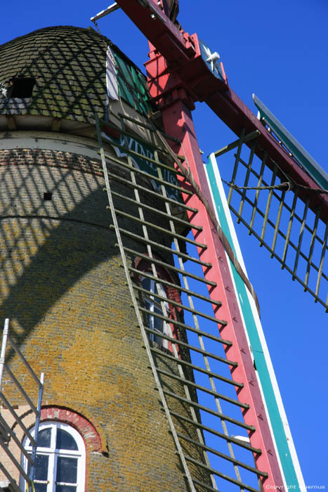 Moulin  Vent Hoek / Pays Bas 