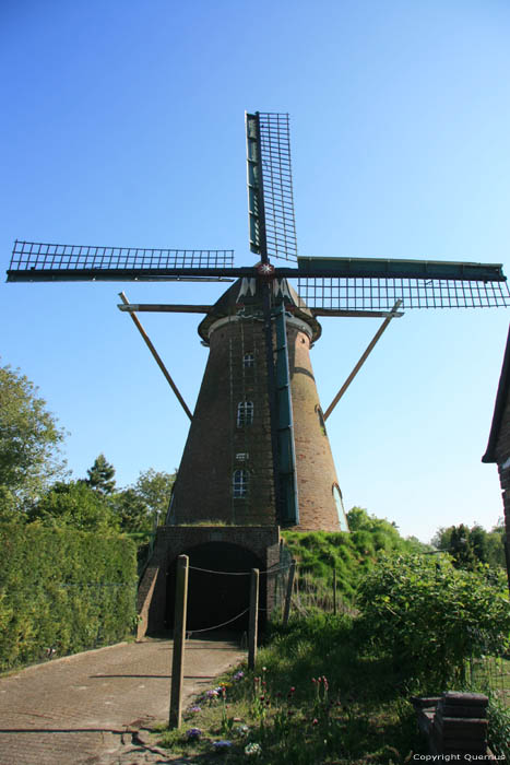 Moulin  Vent la Harmonie Biervliet / Pays Bas 