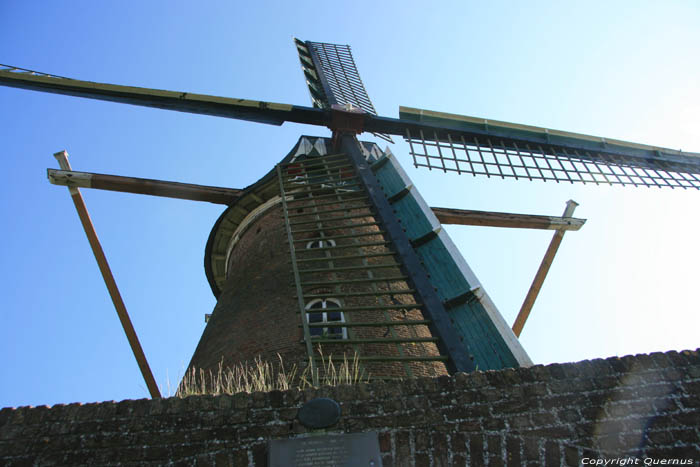Moulin  Vent la Harmonie Biervliet / Pays Bas 