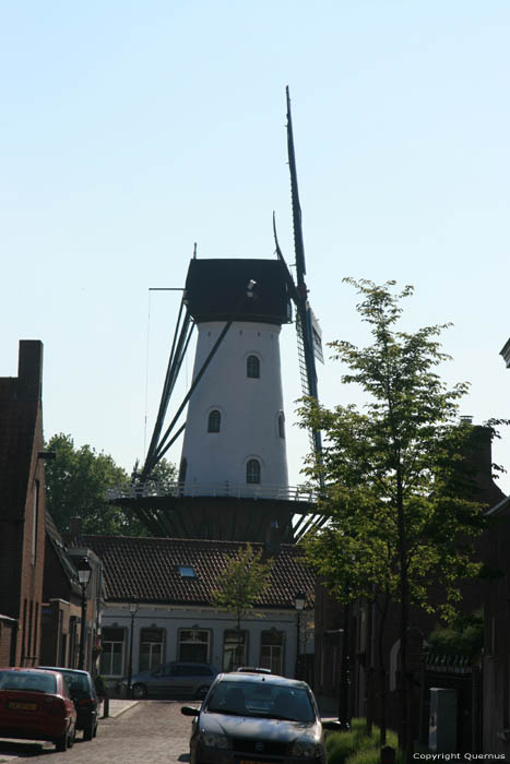 De Witte Juffer Windmolen Ijzendijke / Nederland 