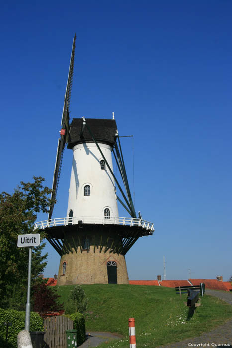 De Witte Juffer Windmolen Ijzendijke / Nederland 