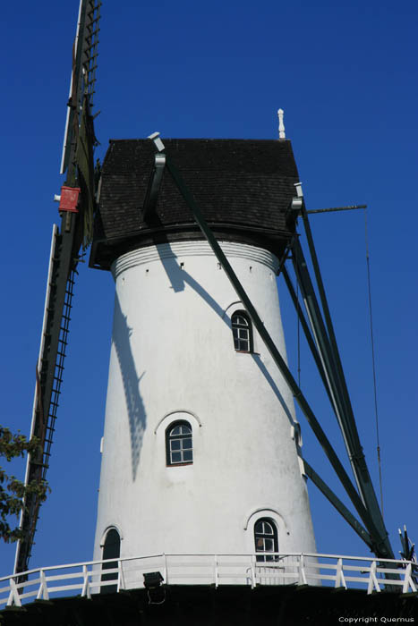 The White Girl Windmill Ijzendijke / Netherlands 