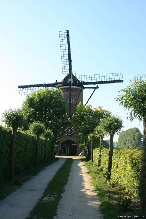 Sint De Hulster's molen Schoondijke / Nederland 