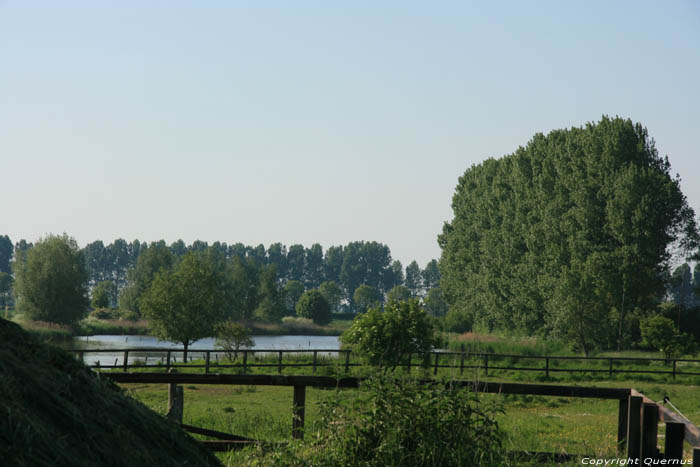 Molenkreek Schoondijke / Nederland 