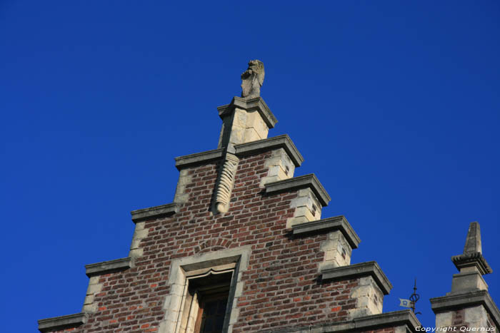 Kasteel Mheer in MHEER / Nederland 