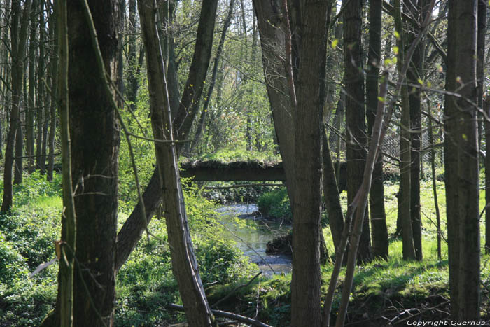 Noorbeek Noorbeek in NOORBEEK / Nederland 