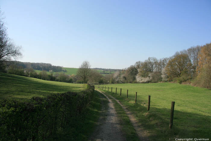 Noorbeek valley Noorbeek in NOORBEEK / Netherlands 