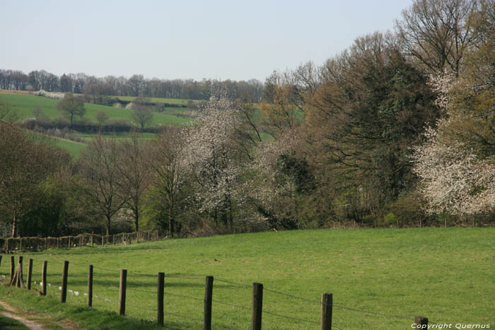 Noorbeek valley Noorbeek in NOORBEEK / Netherlands 