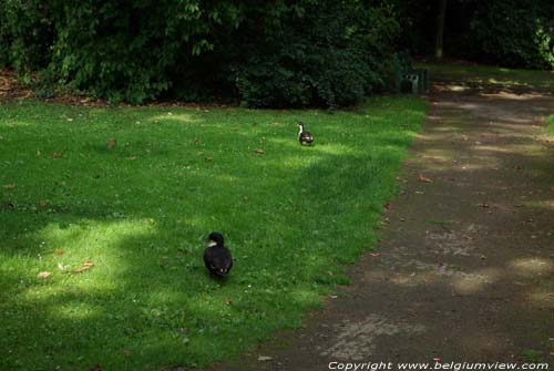 Muinkpark GENT foto 