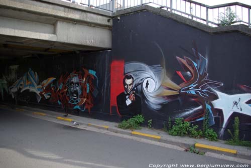 Graffiti Ter Platenbrug GENT foto 