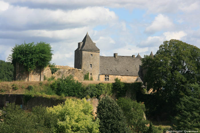 Salignac Castle Salignac Eyvigues / FRANCE 