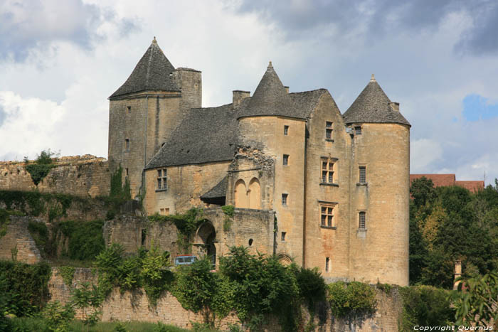 Salignac Castle Salignac Eyvigues / FRANCE 