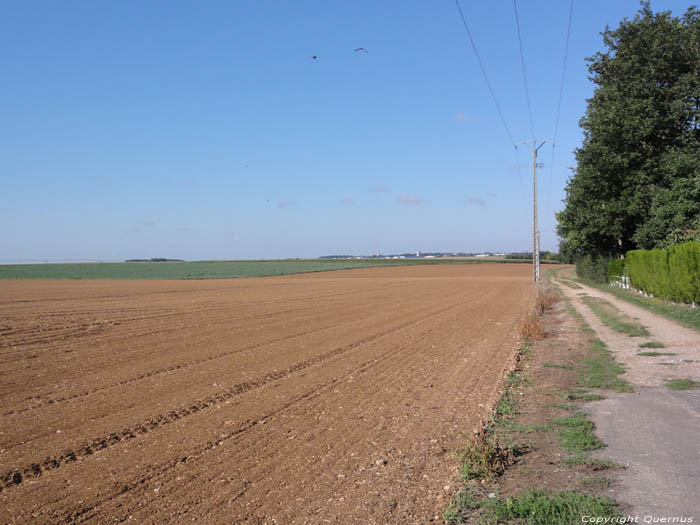 Flat Landscape Monnerville / FRANCE 