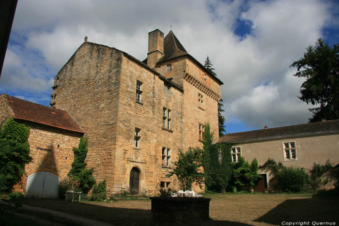 Castle Saint-Pompont / FRANCE 