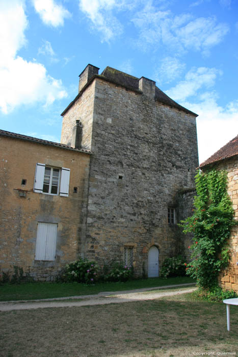 Castle Saint-Pompont / FRANCE 