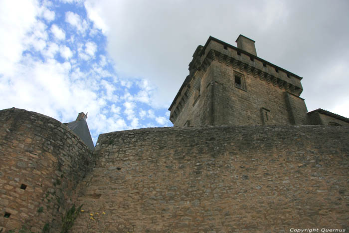 Biron Castle Biron / FRANCE 