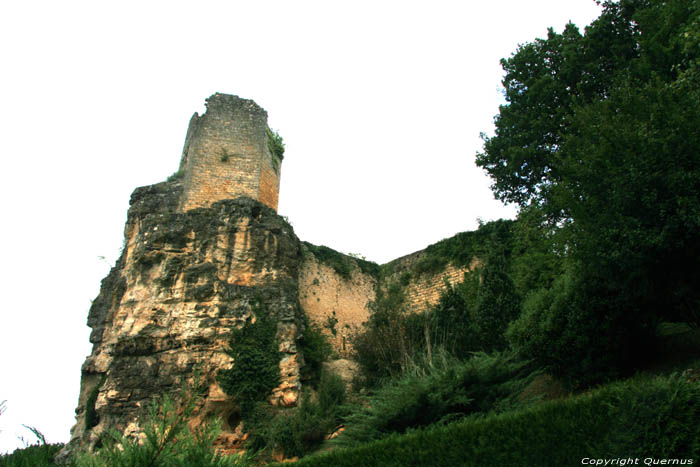 Kasteel Cuzorn / FRANKRIJK 