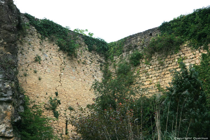 Castle Cuzorn / FRANCE 