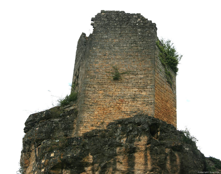Castle Cuzorn / FRANCE 