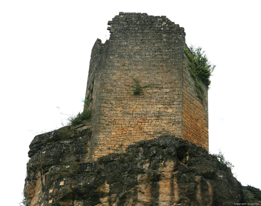 Kasteel Cuzorn / FRANKRIJK 