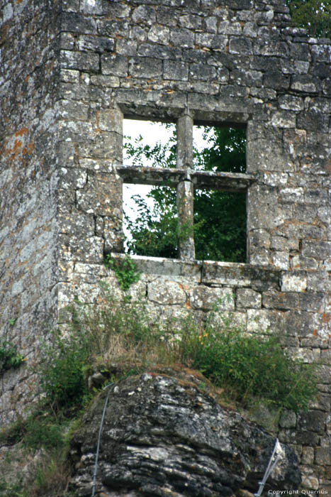 Chteau Cuzorn / FRANCE 