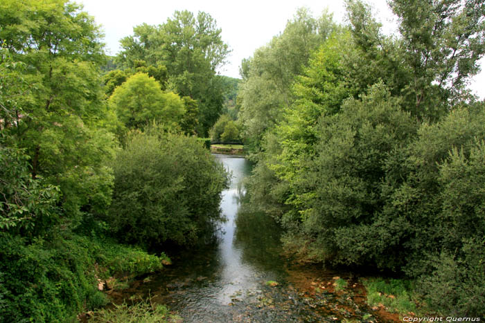 Cou rivier Daglan / FRANKRIJK 